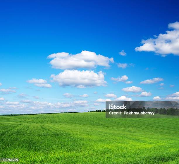 Foto de Campo Verde e mais fotos de stock de Azul - Azul, Campo, Cena Rural