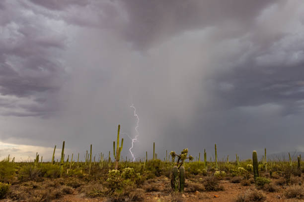 istock Lightning strikes a Sonoran Desert Landscape 1567653652