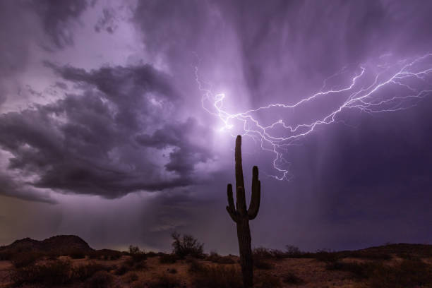 istock Lightning illuminates a Saguaro Cactus at Night 1567655754