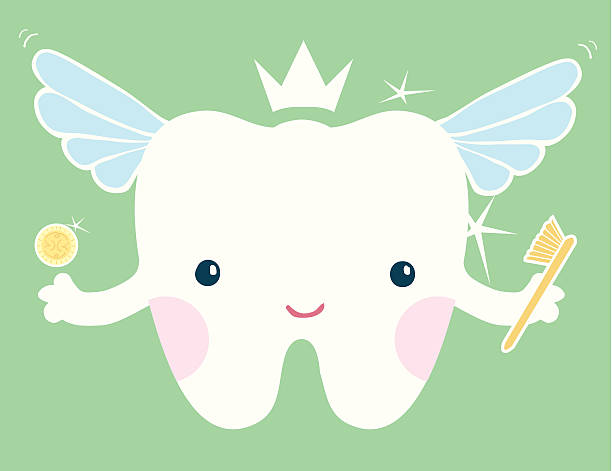 tooth wróżka - human teeth fairy cartoon toothbrush stock illustrations