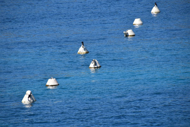 White navigation safety boundary marker buoys in blue sea water, copy space