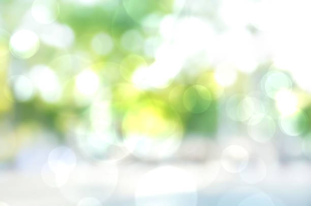 Green abstract background blur,holiday wallpaper