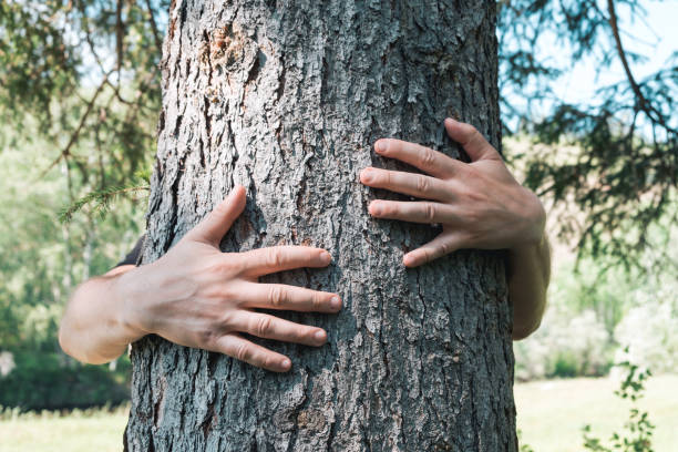 istock Man hugging tree bark on the summer forest. Ecology concept 1567706690