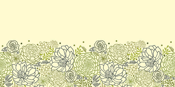 Piante succulente orizzontale Seamless ornamento - illustrazione arte vettoriale