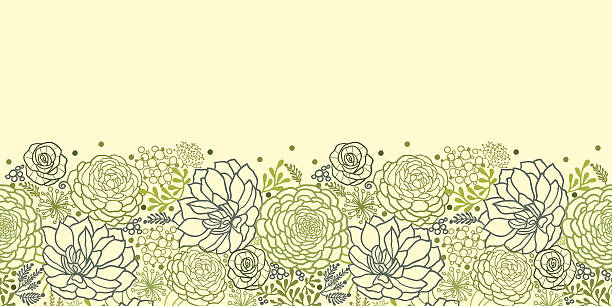 Succulent Plants Horizontal Seamless Ornament Vector  Horizontal seamless pattern background with hand drawn ornate succulent plants in the shades of green. succulent stock illustrations