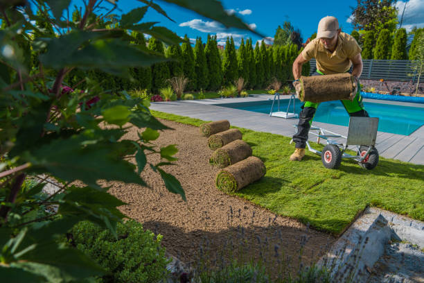 istock Landscaping Worker Installing Fresh Lawn Made From Natural Grass 1567726135
