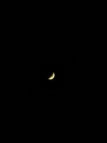 The crescent moon at night without the stars surrounding it felt so lonely and lonely.