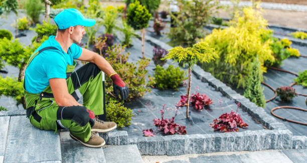 istock Professional Landscaping Worker Inside Newly Designed Backyard Garden 1567741149