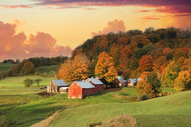 istock The Jenne Farm in Vermont 1567744317