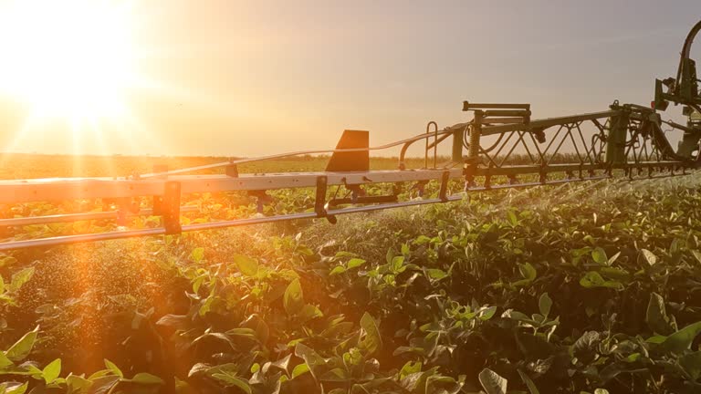 Crop sprayer spraying pesticide on a soybean field at sunset, slow motion