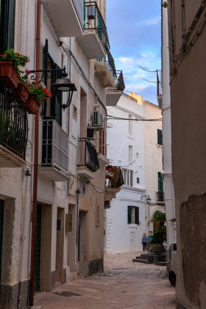 istock Monopoli, Italian town in Puglia 1567767427