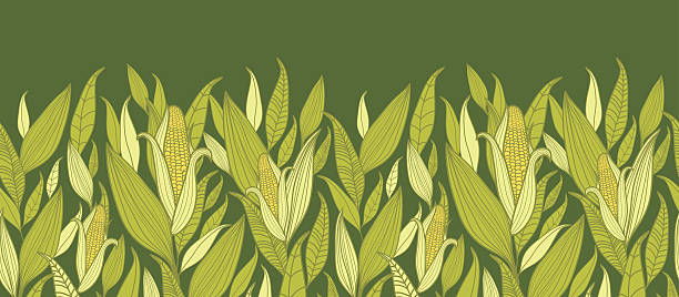 illustrazioni stock, clip art, cartoni animati e icone di tendenza di piante di mais orizzontale seamless pattern di sfondo - corn on the cob immagine