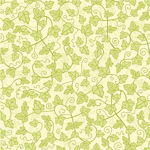 Graphics Ivy Pattern 970+ Ivy Vines Drawing Stock Illustrations, Royalty-Free Vector ...