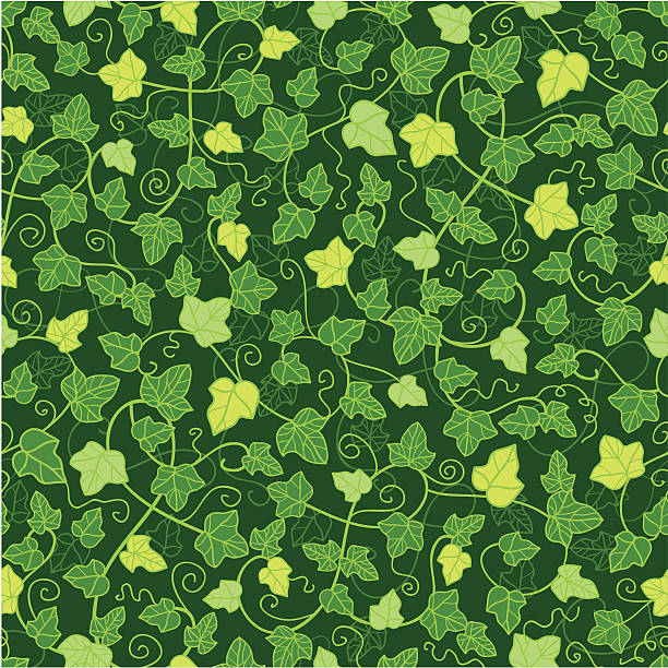 Vigneti Seamless Pattern di sfondo verde - illustrazione arte vettoriale