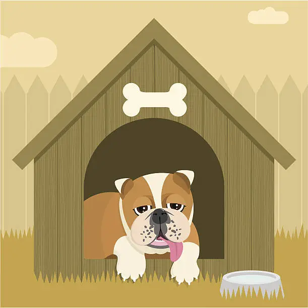 Vector illustration of Bulldog dog