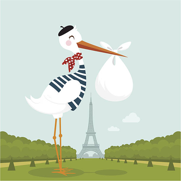 French stork in Paris http://i681.photobucket.com/albums/vv179/myistock/friend.jpg funny pregnancy announcements stock illustrations