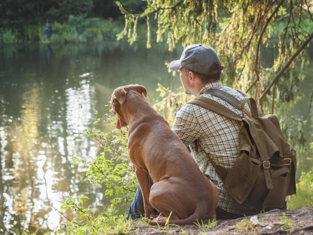 istock Charming, pretty brown puppy and attractive man 1567798668