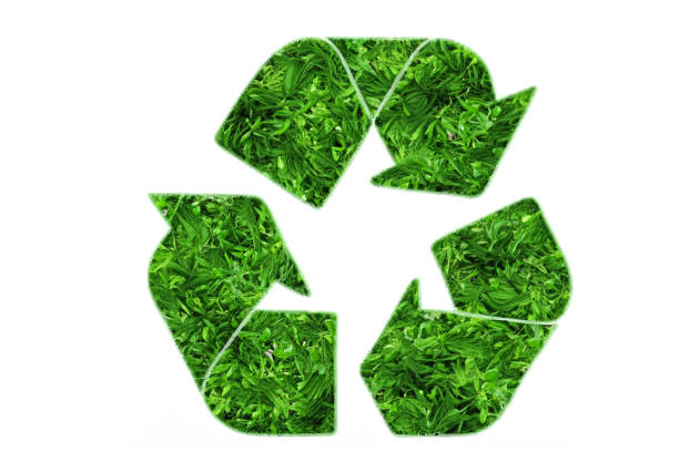 istock green recycling icon on a white background 1567817194