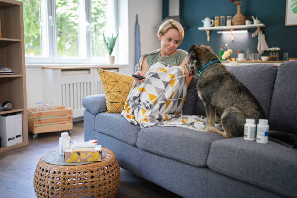 소파에 앉아 tv를 보는 아픈 백인 여성, 그녀의 개가 그녀를 회사로 만드는 동안 - illness pets symptoms blanket 뉴스 사진 이미지