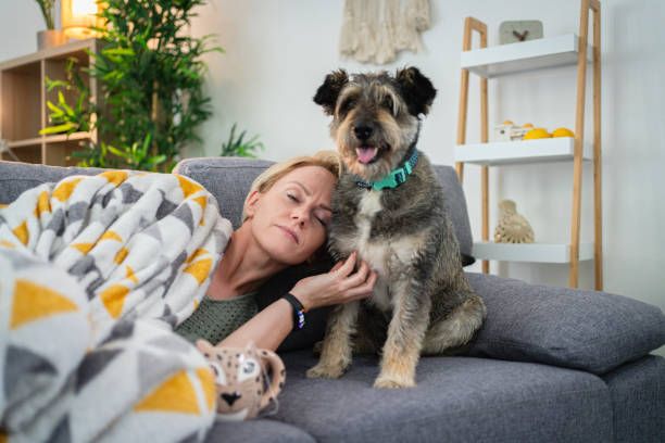 소파에 누워 차를 마시는 아픈 백인 여성, 그녀의 개는 그녀를 회사로 만든다 - illness pets symptoms blanket 뉴스 사진 이미지