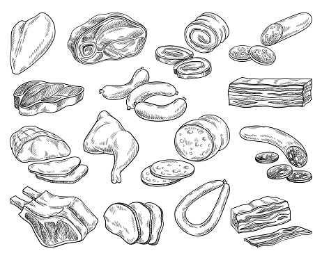 Meat products set. Outline retro sketch with sausage and sausages, bacon and steak, pork and beef. Brisket and mortadella food engraving. Linear flat vector collection isolated on white background