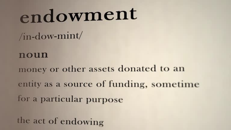 Endowment Definition