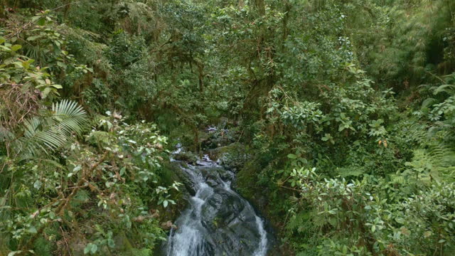 Tropical waterfall in the rainforest, Chiriqui, Panama - stock video