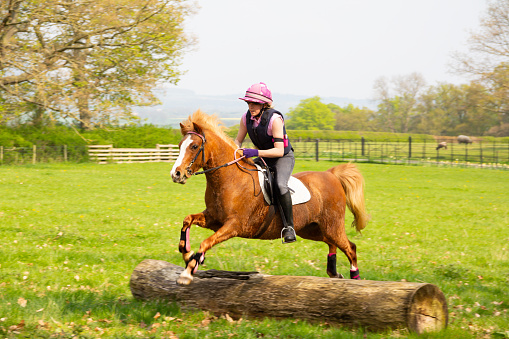 Pretty young rider and her chestnut pony jumping a fallen log in field in the English countryside on a spring day.