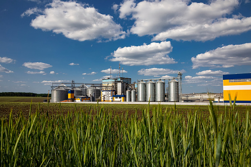 Agricultural Silos on the background of the field. Storage and drying of grains, wheat, corn, soy, sunflower against the blue sky with white clouds. Storage of the crop.