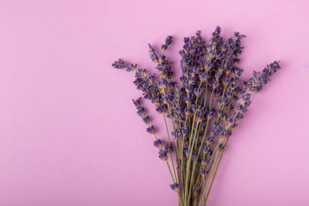 istock Bouquet of fragrant lavender on textural background. Top view. Place for text. Copy space. 1567893969