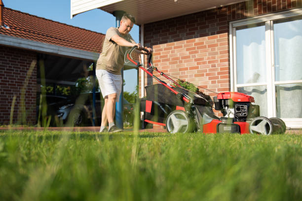 istock woman mowing lawn in garden 1567896846