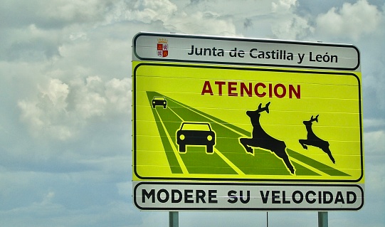 watch your speed (modere su velocidad) advises a bright yellow deer warning placard viewed while driving in rural spain.