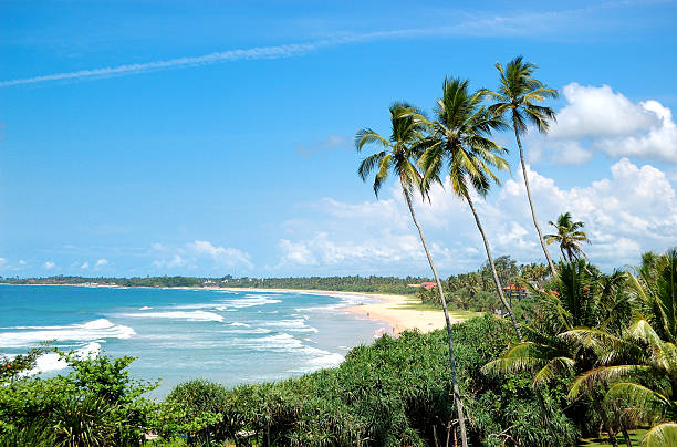 playa, las palmeras y las aguas turquesas del océano índico, sri lanka - sri lanka fotografías e imágenes de stock