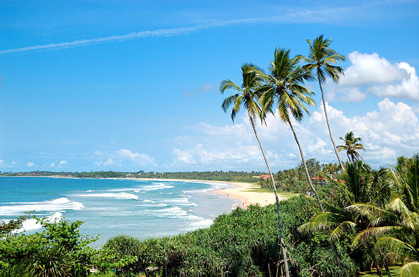 spiaggia, palme e acqua turchese dell'oceano indiano, sri lanka - lanka foto e immagini stock