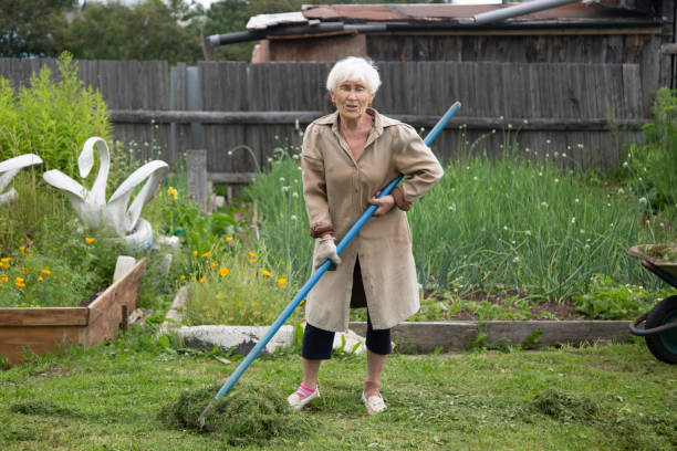 istock An elderly woman is digging a vegetable garden. 1567928432