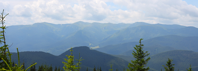 Mountain range with green trees and a valley visible in the center of the image. The mountains are covered in green trees and there are a few small trees and shrubs in the foreground.