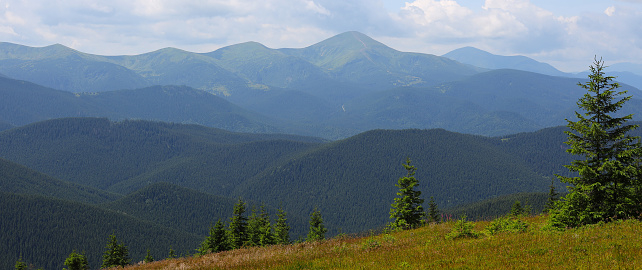 Mountain range with a clear blue sky. The mountains are covered in green trees and the foreground has a grassy hill with a few trees.