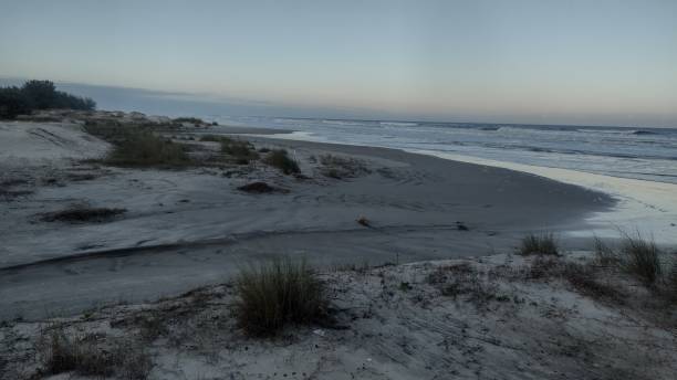 istock Late afternoon photo on the beach 1567931192