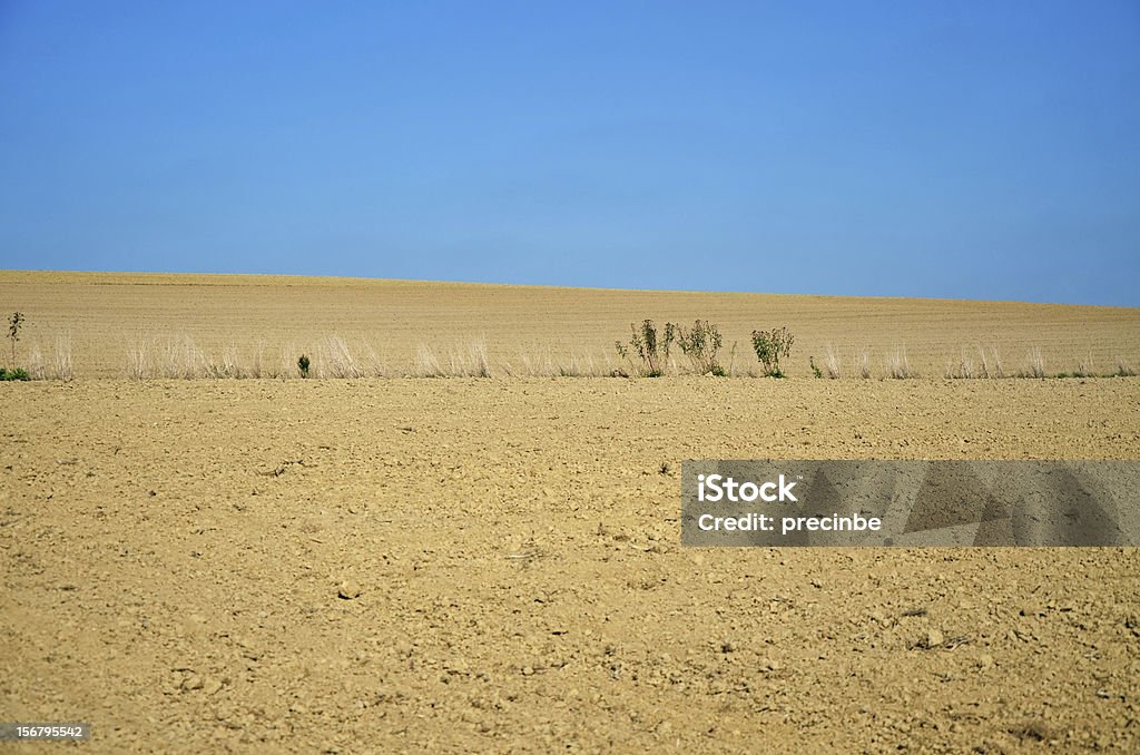 Campo de vacío - Foto de stock de Agricultura libre de derechos