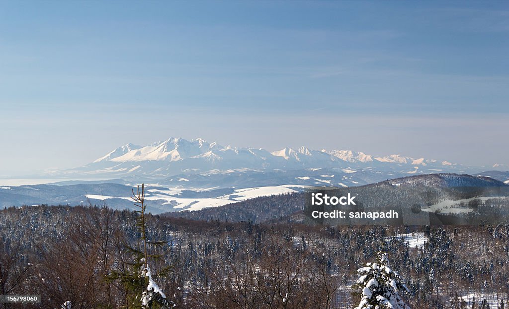 Montanhas Tatra no inverno - Foto de stock de Alto Tatra royalty-free