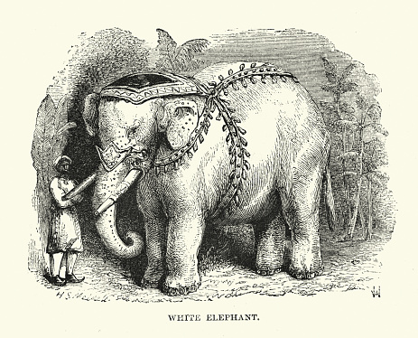 Vintage illustration of White Asian Elephant, Victorian 1860s