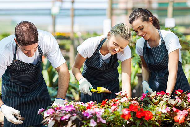 istock group of young gardeners working 156798808