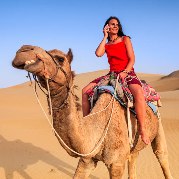 istock Young female tourist using mobile on a camel, Rajasthan, India 1568001100