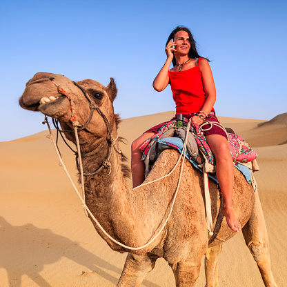 thar desert is claimed destination for a camel safari that is close to jaisalmer city, india