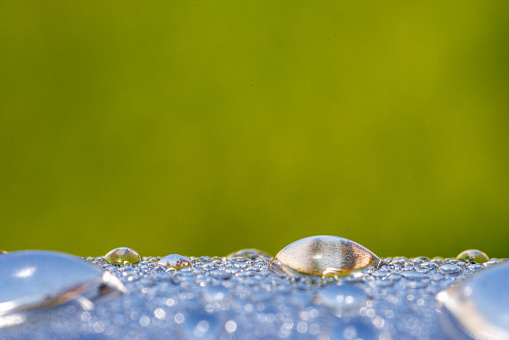 Dew drops and defocused green background