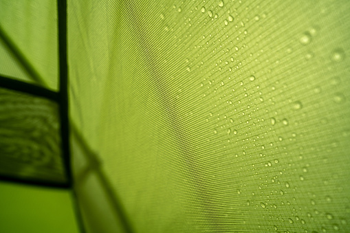 Rain drops on the touristic tent, close-up shot from inside of the tent