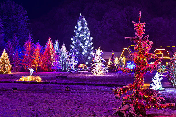 istock Christmas fantasy - park & forest in xmas lights 156802251