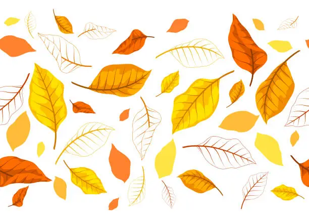 Vector illustration of Pattern with autumn leaves. Background with various foliage.