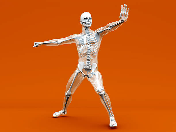 istock Anatomy -  Martial Arts 156803168