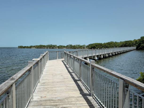 istock Wood Bridge at the Bay 1568050800